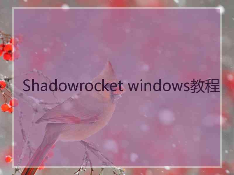 Shadowrocket windows教程