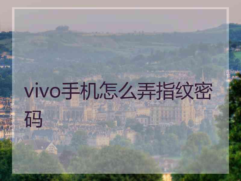 vivo手机怎么弄指纹密码