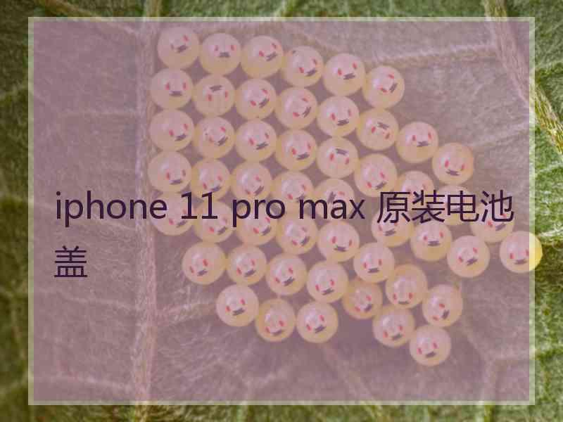 iphone 11 pro max 原装电池盖