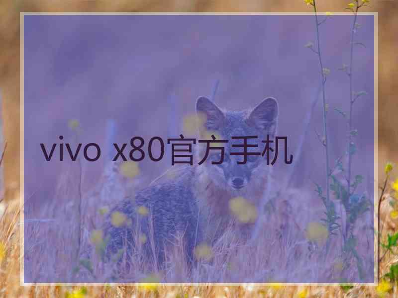 vivo x80官方手机