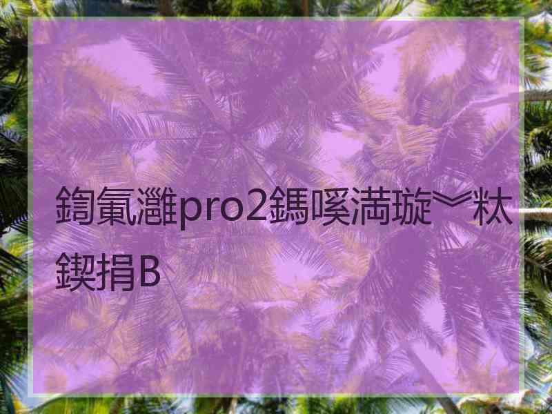 鍧氭灉pro2鎷嗘満璇︾粏鍥捐В