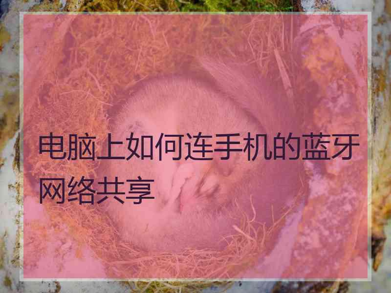 电脑上如何连手机的蓝牙网络共享