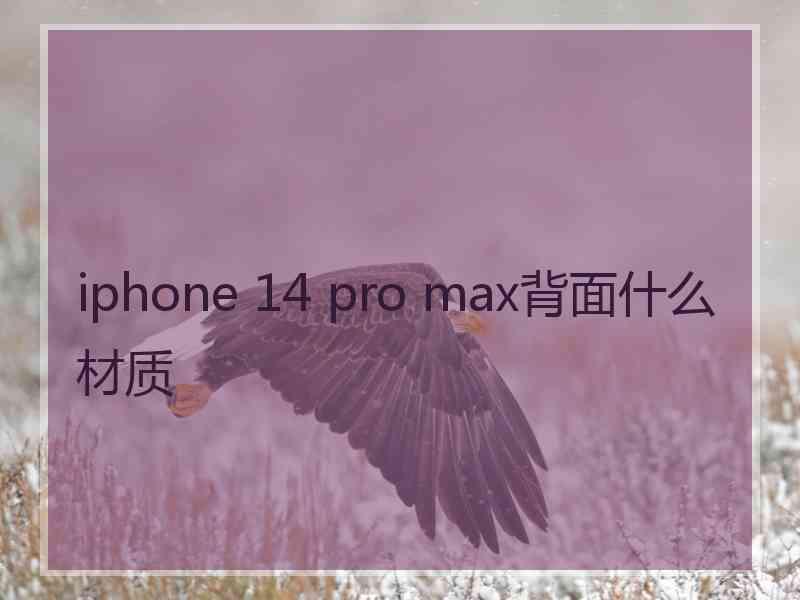 iphone 14 pro max背面什么材质