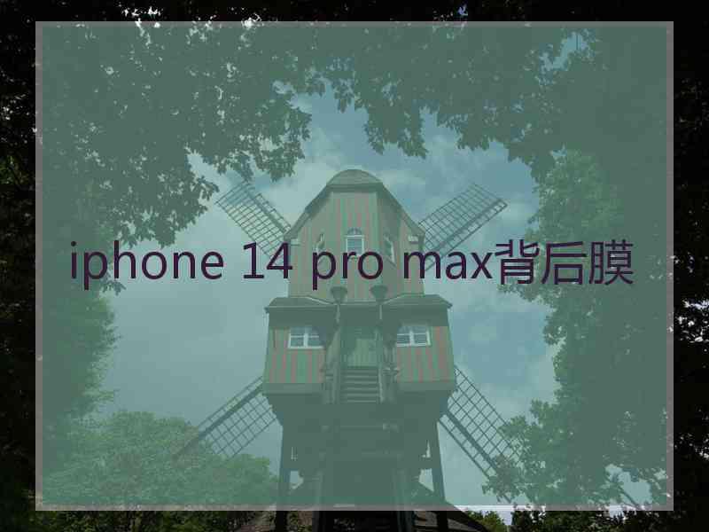 iphone 14 pro max背后膜