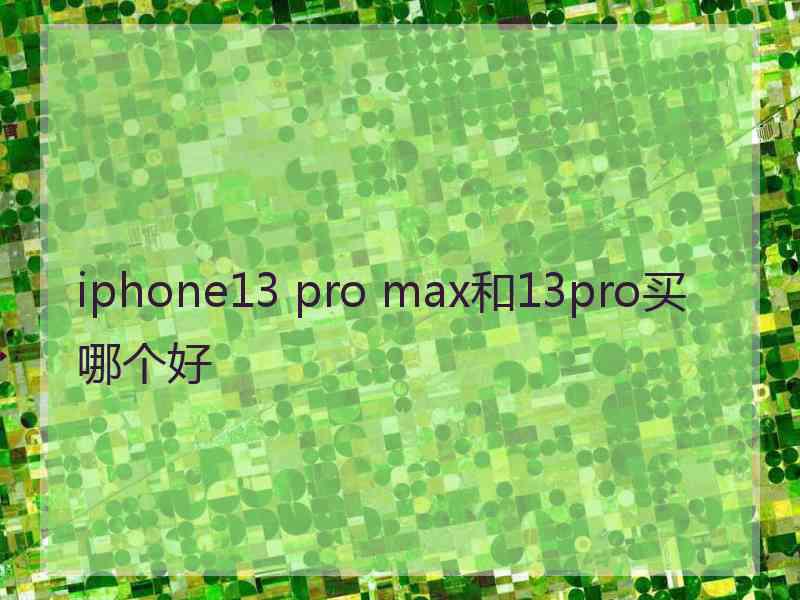 iphone13 pro max和13pro买哪个好