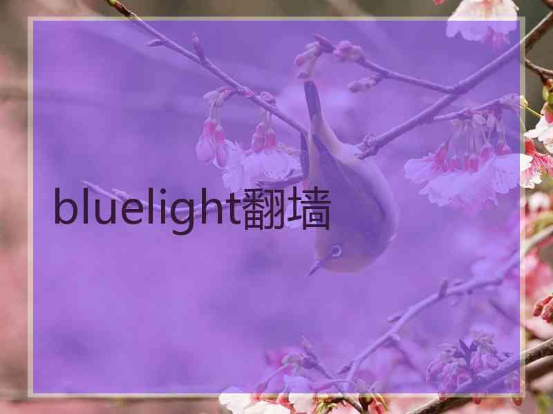 bluelight翻墙