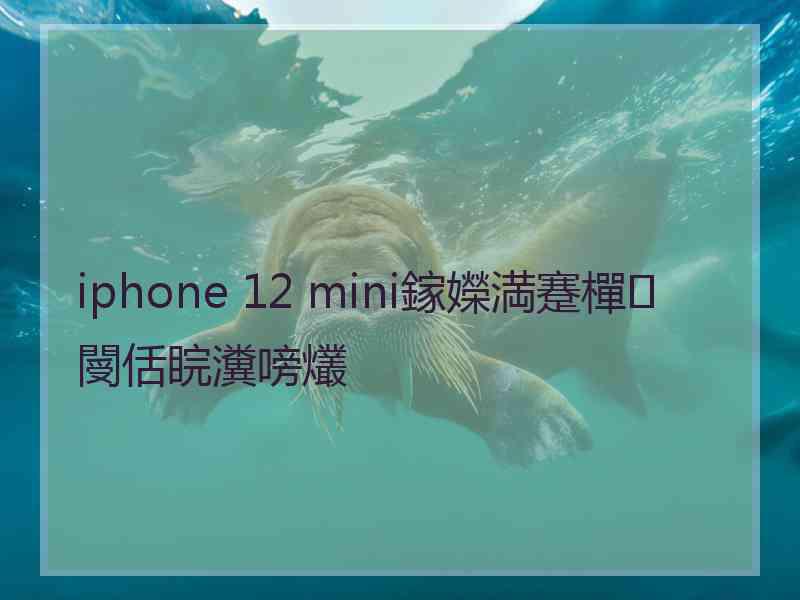 iphone 12 mini鎵嬫満蹇樿閿佸睆瀵嗙爜