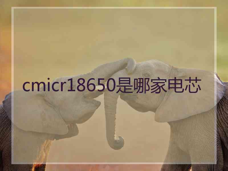 cmicr18650是哪家电芯