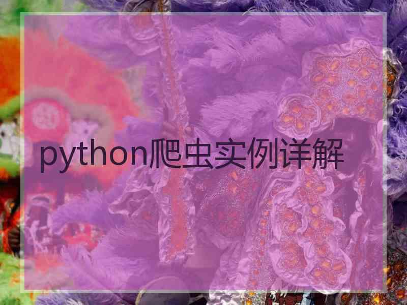 python爬虫实例详解