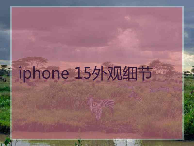 iphone 15外观细节