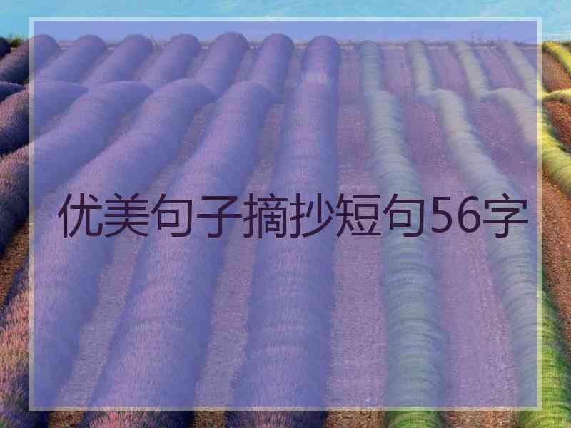 优美句子摘抄短句56字