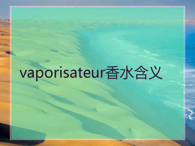 vaporisateur香水含义