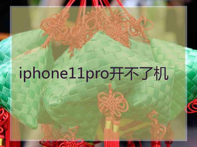 iphone11pro开不了机