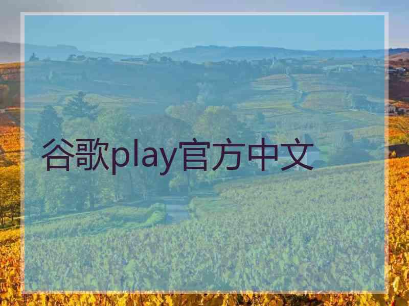 谷歌play官方中文