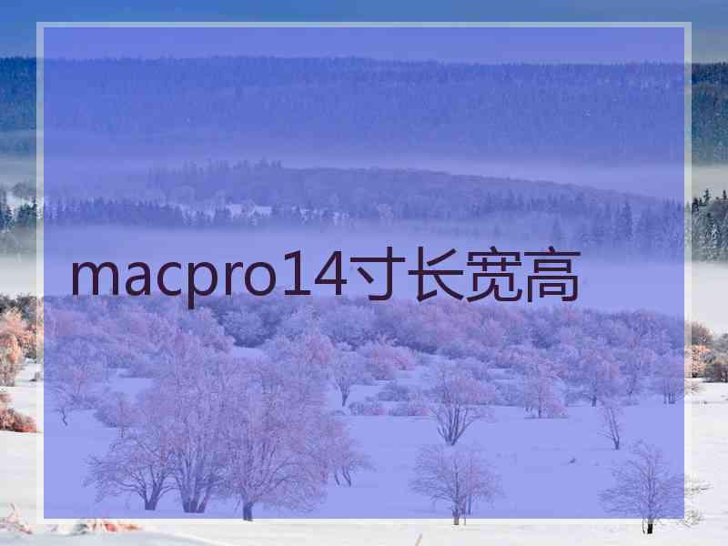 macpro14寸长宽高