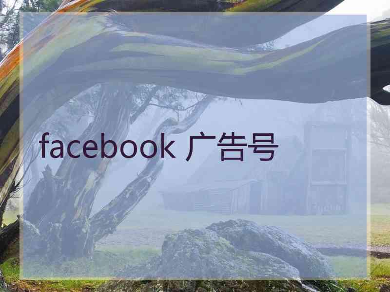 facebook 广告号