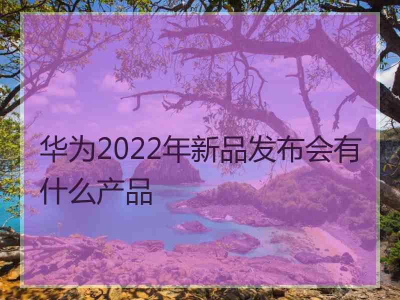 华为2022年新品发布会有什么产品