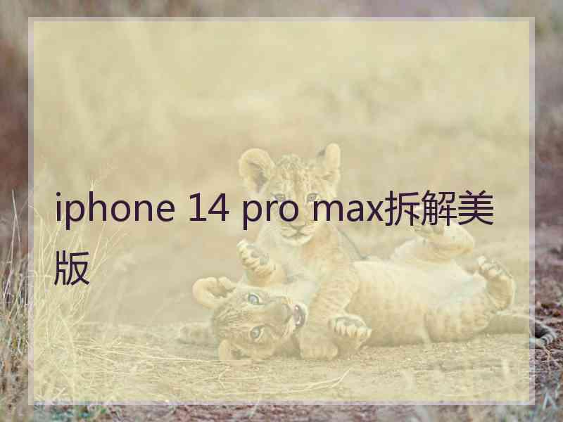 iphone 14 pro max拆解美版