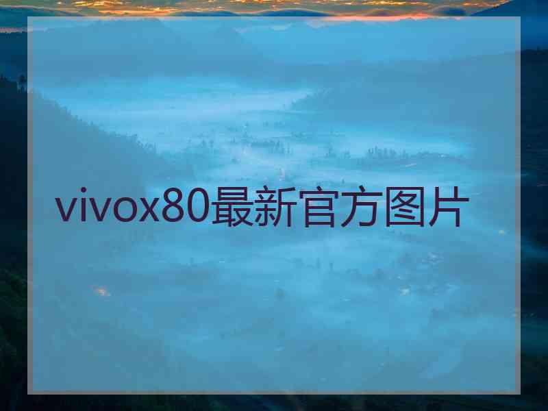 vivox80最新官方图片