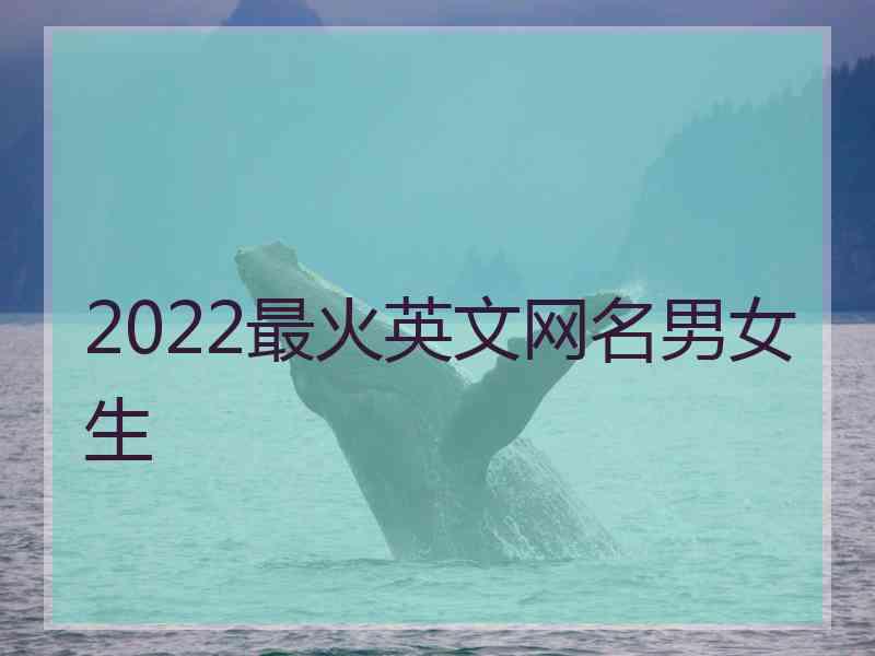 2022最火英文网名男女生