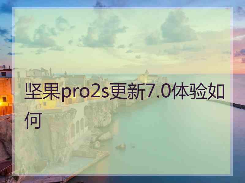 坚果pro2s更新7.0体验如何