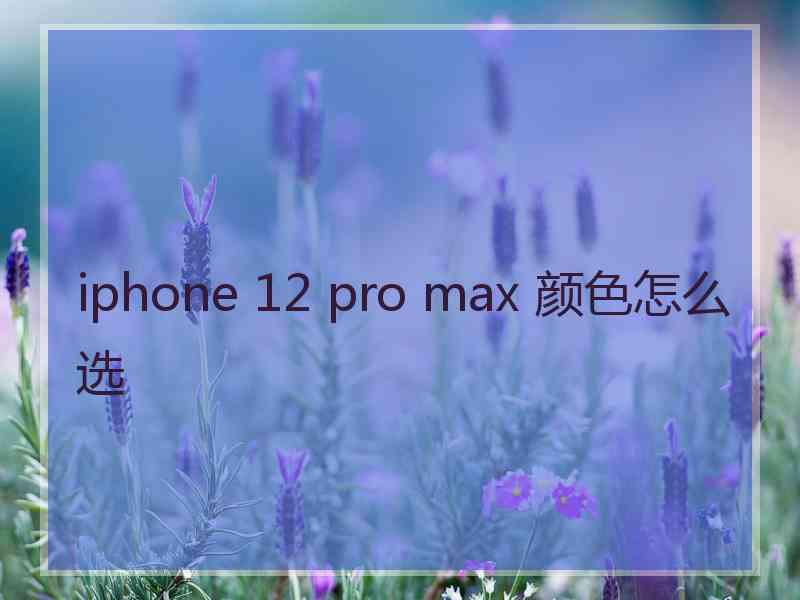 iphone 12 pro max 颜色怎么选