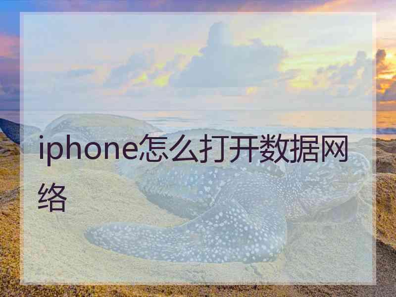 iphone怎么打开数据网络