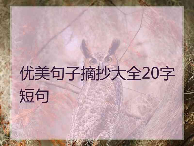 优美句子摘抄大全20字短句