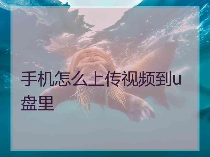 手机怎么上传视频到u盘里