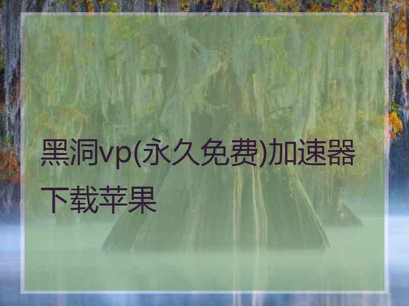 黑洞vp(永久免费)加速器下载苹果