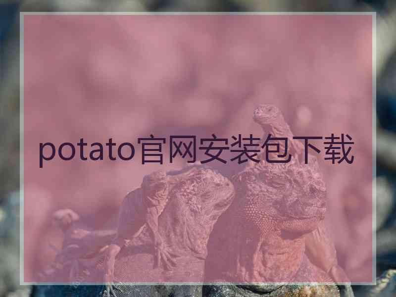 potato官网安装包下载