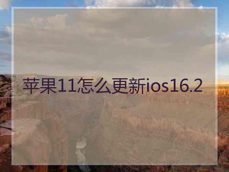 苹果11怎么更新ios16.2