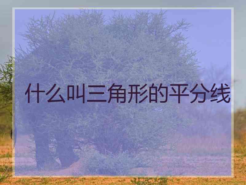 什么叫三角形的平分线