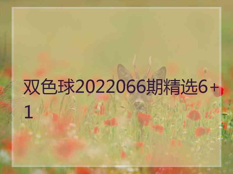 双色球2022066期精选6+1