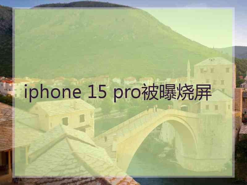 iphone 15 pro被曝烧屏