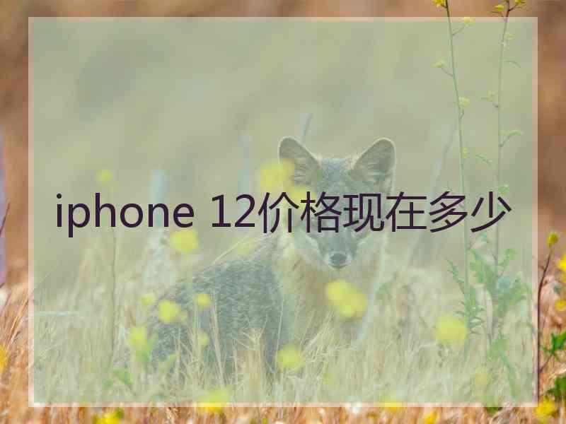 iphone 12价格现在多少