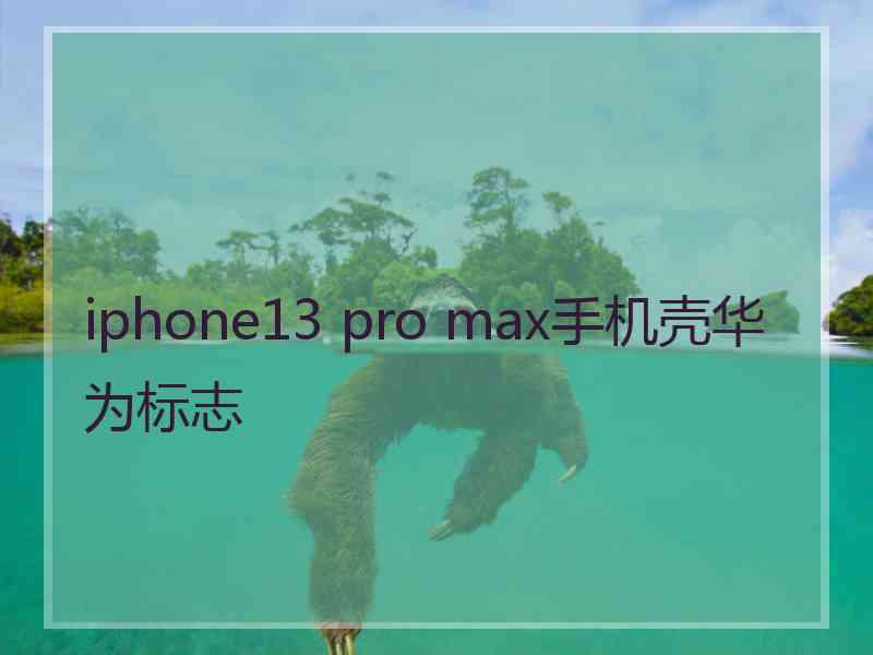 iphone13 pro max手机壳华为标志