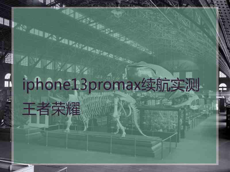 iphone13promax续航实测王者荣耀