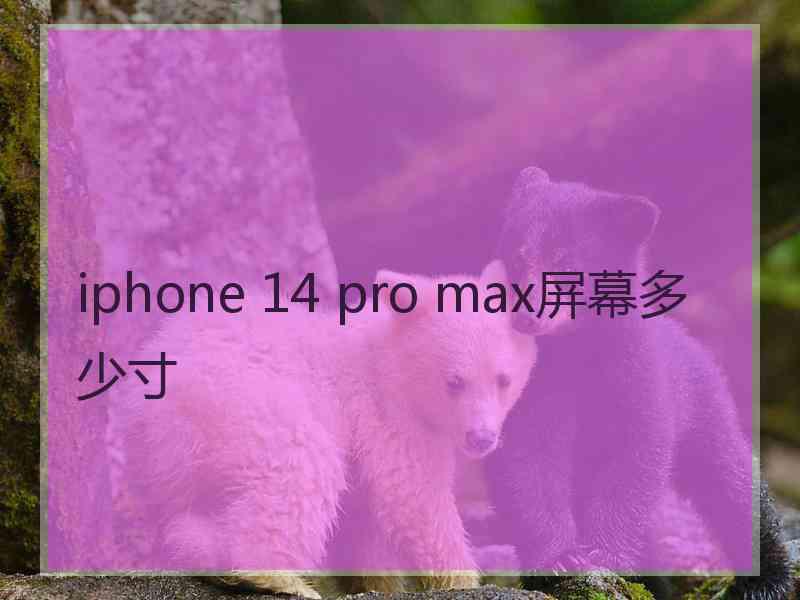 iphone 14 pro max屏幕多少寸