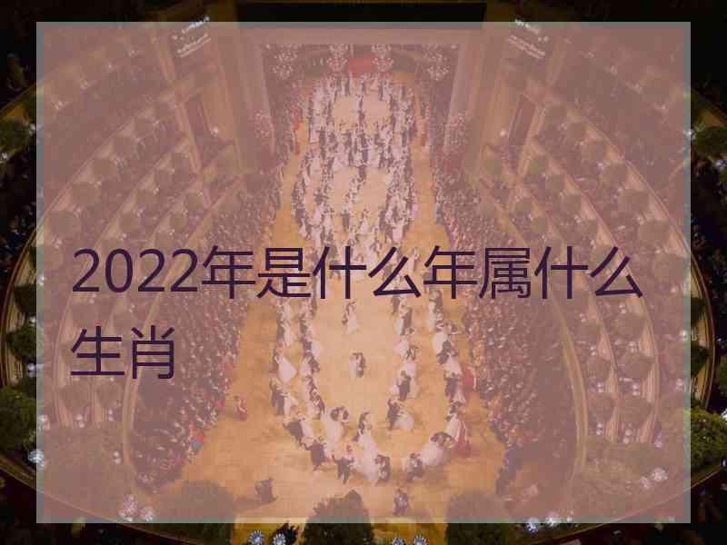 2022年是什么年属什么生肖