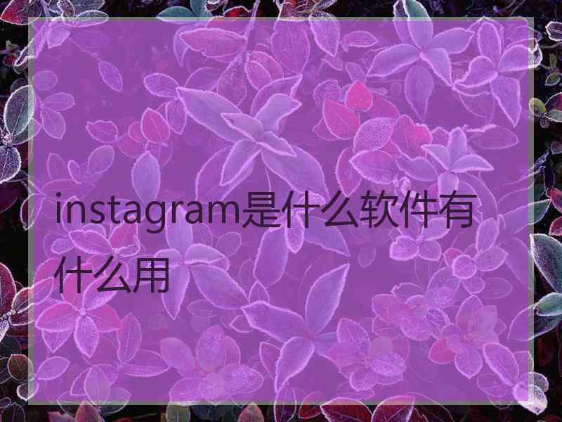 instagram是什么软件有什么用