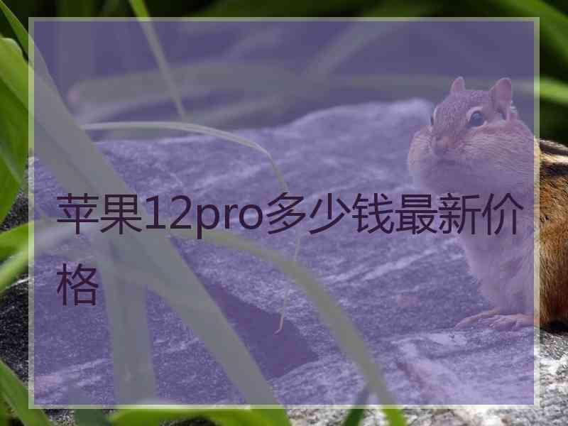 苹果12pro多少钱最新价格