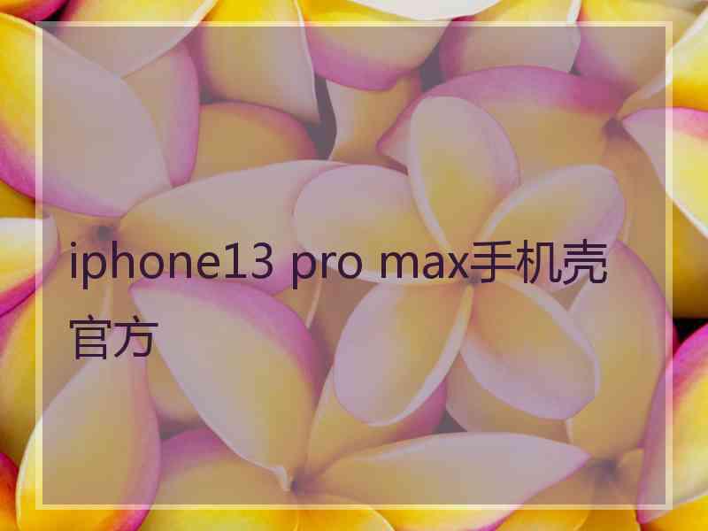 iphone13 pro max手机壳官方