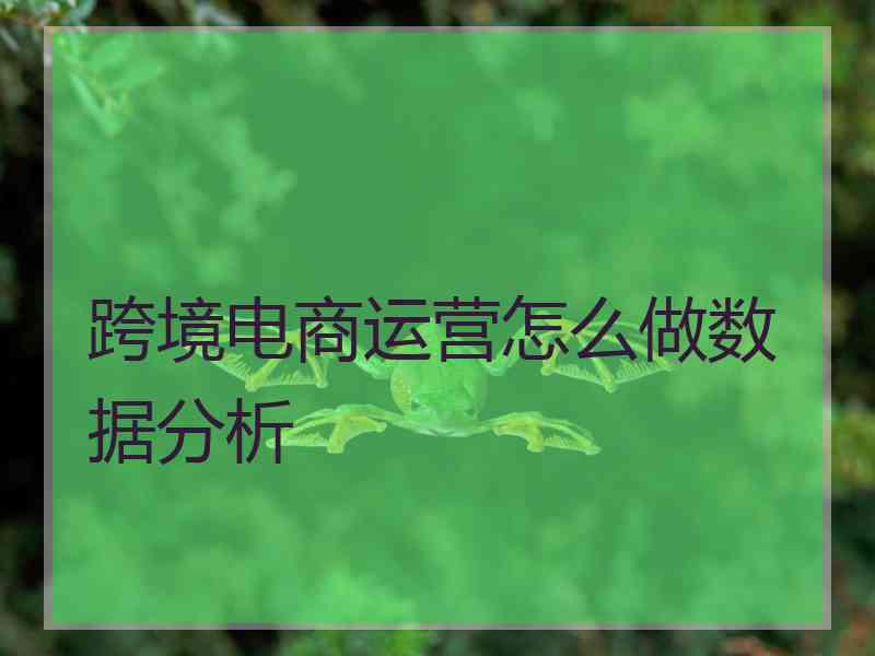 跨境电商运营怎么做数据分析