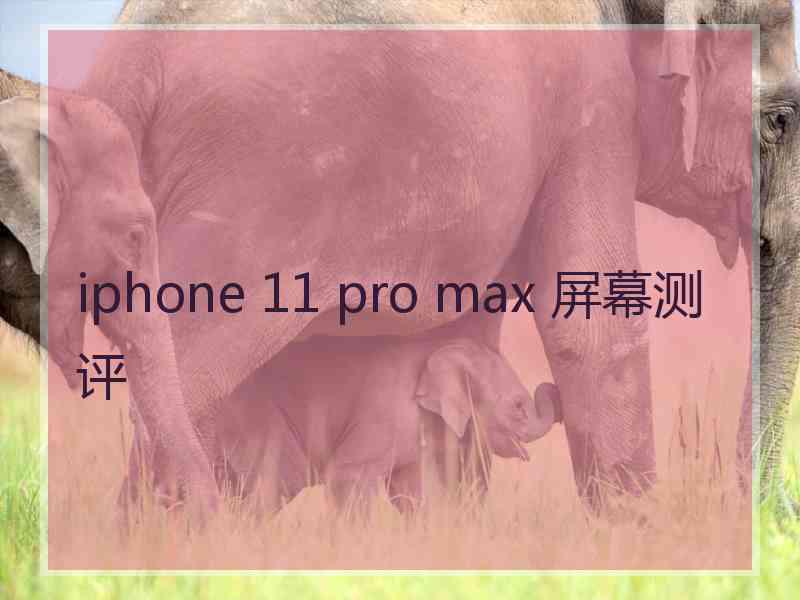 iphone 11 pro max 屏幕测评