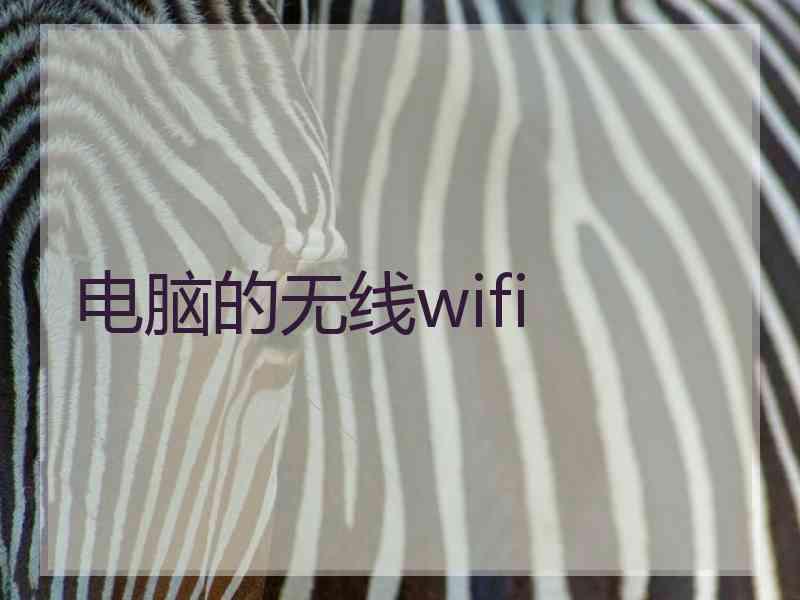 电脑的无线wifi