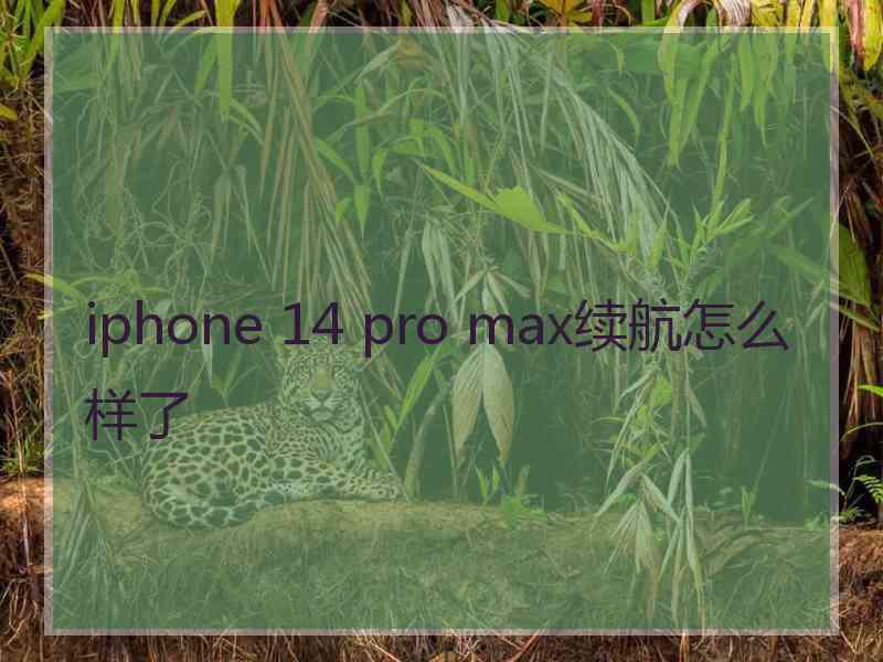 iphone 14 pro max续航怎么样了