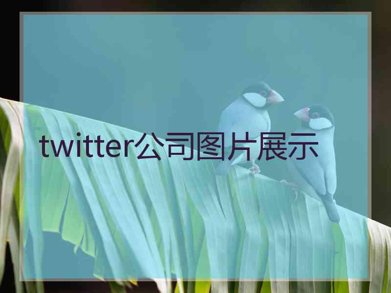 twitter公司图片展示