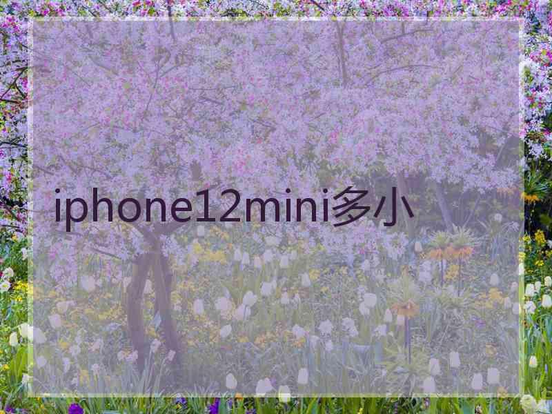 iphone12mini多小