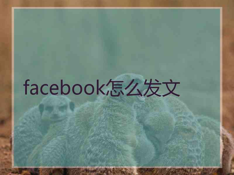 facebook怎么发文